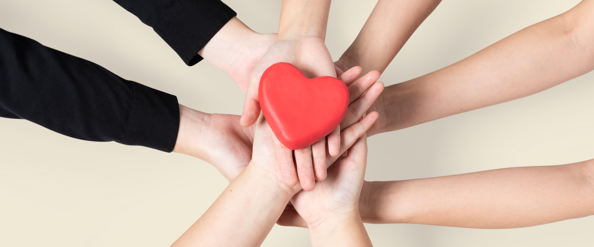 나눔운동체험본부